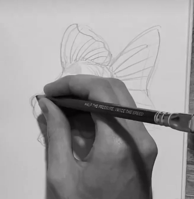 Hand drawing butterfly sketch